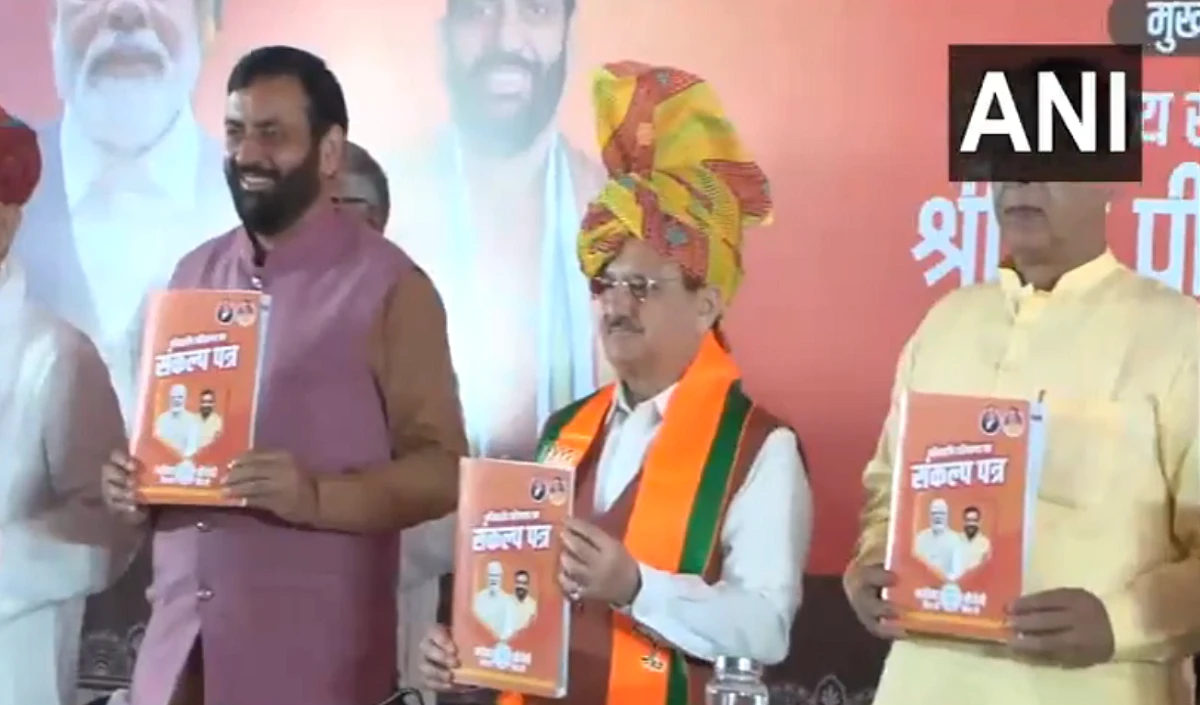 manifesto bjp