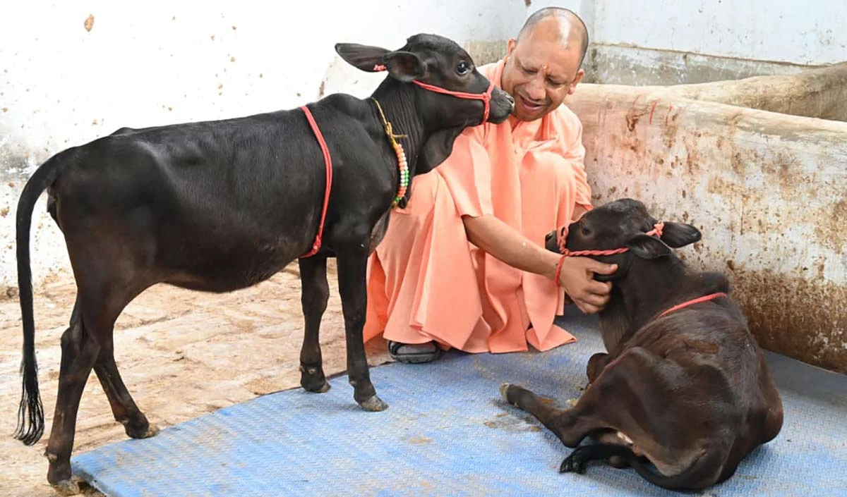 Yogi Bhavani and Bholu