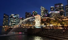 Singapore में चूहों का आतंक, निपटने के लिए हो रही पूरी तैयारी