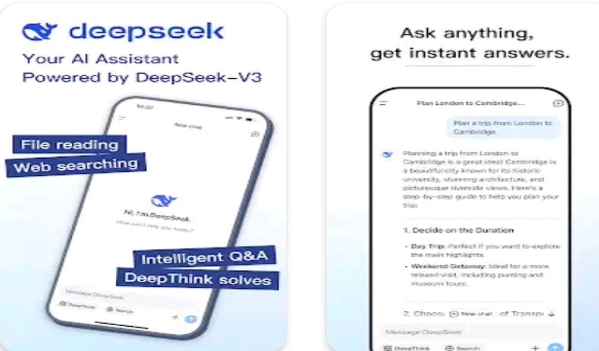 Deepseek Deepseek