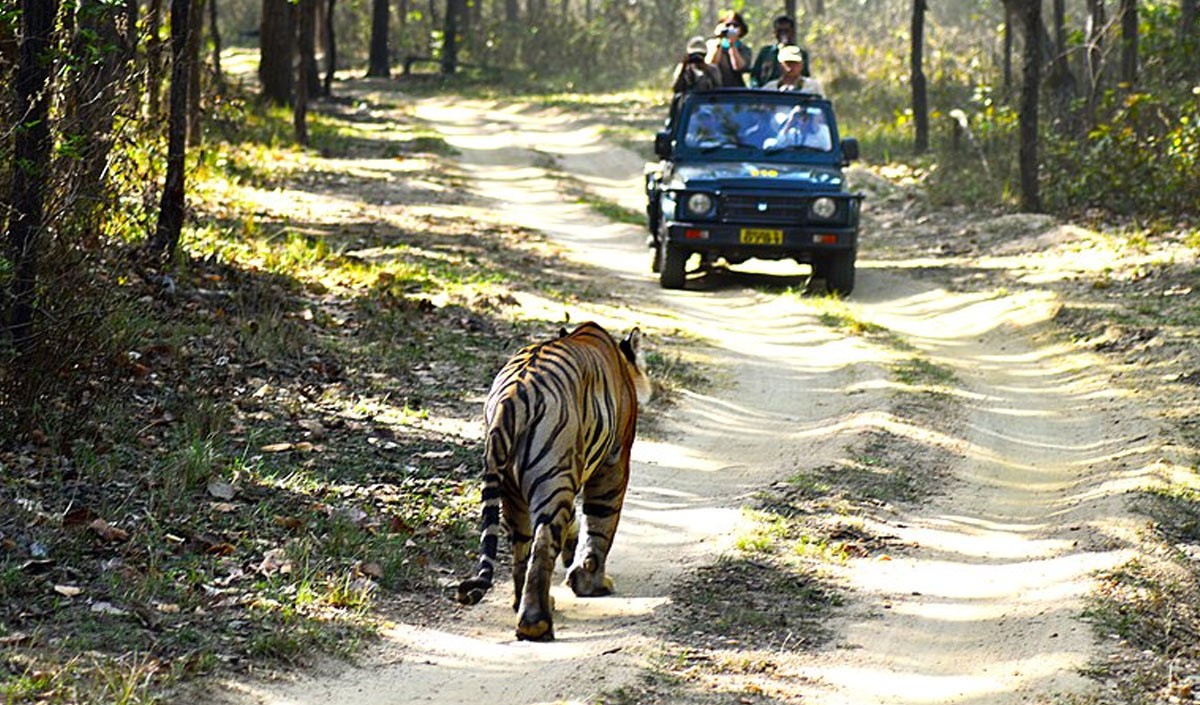 Kanha National Park