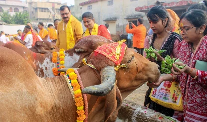 Gopashtami 2025: सुख-सौभाग्य की कामना के लिए किया जाता है गोपाष्टमी व्रत