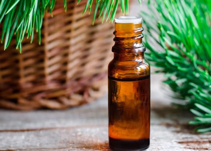 Ayurvedic Room Freshener: बासी गंध नहीं, घर में ऊर्जा ठहराव का संकेत, ये आयुर्वेदिक फ्रेशनर भरेगा पॉजिटिविटी