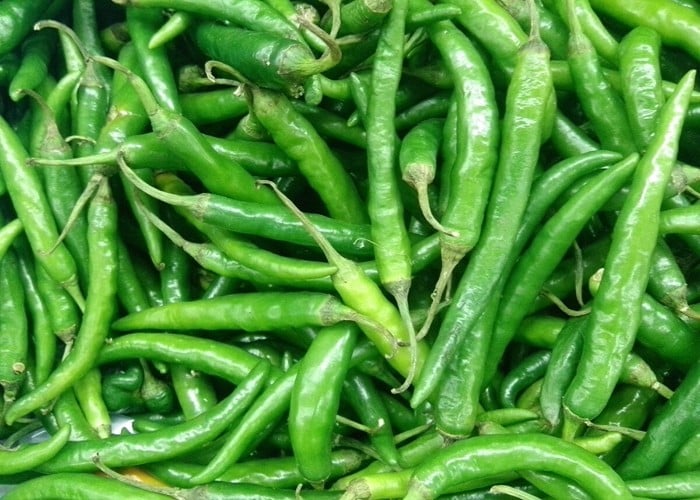 Store Green Chillies: हरी मिर्च फ्रिज में सड़ने से हैं परेशान, ये 5 आसान टिप्स अपनाएं, महीनों रहेगी फ्रेश