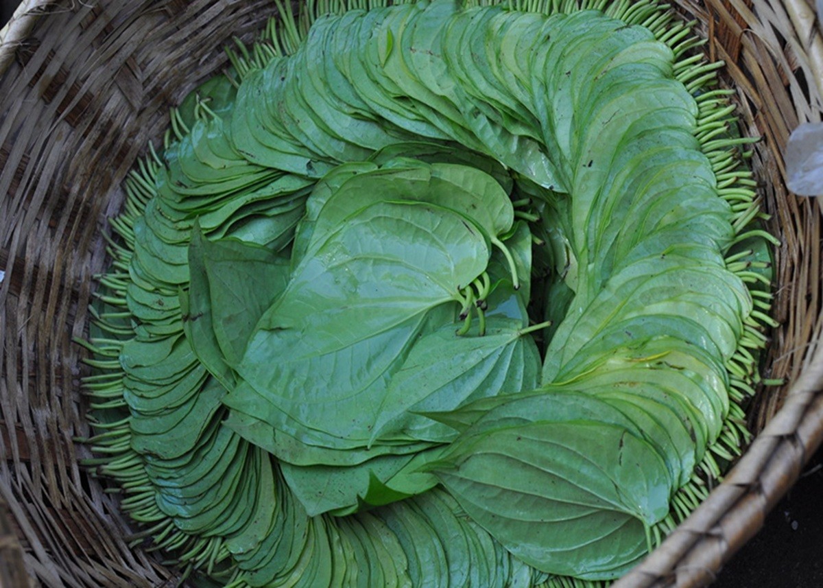 Health Tips: बढ़ते प्रदूषण से गले में हो रही तेज जलन तो आजमाएं ये देसी नुस्खा, जल्द महसूस होगी राहत