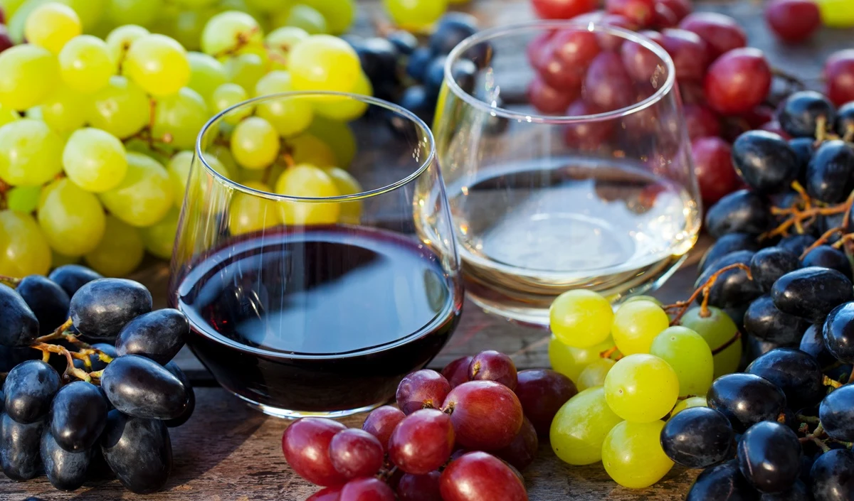 homemade grape wine homemade grape wine