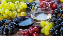 Beginner Wine Making Guide । क्रिसमस-नए साल पर चखें घर की बनी वाइन का स्वाद, 21 दिन में यूं करें तैयार Beginner Wine Making Guide । क्रिसमस-नए साल पर चखें घर की बनी वाइन का स्वाद, 21 दिन में यूं करें तैयार