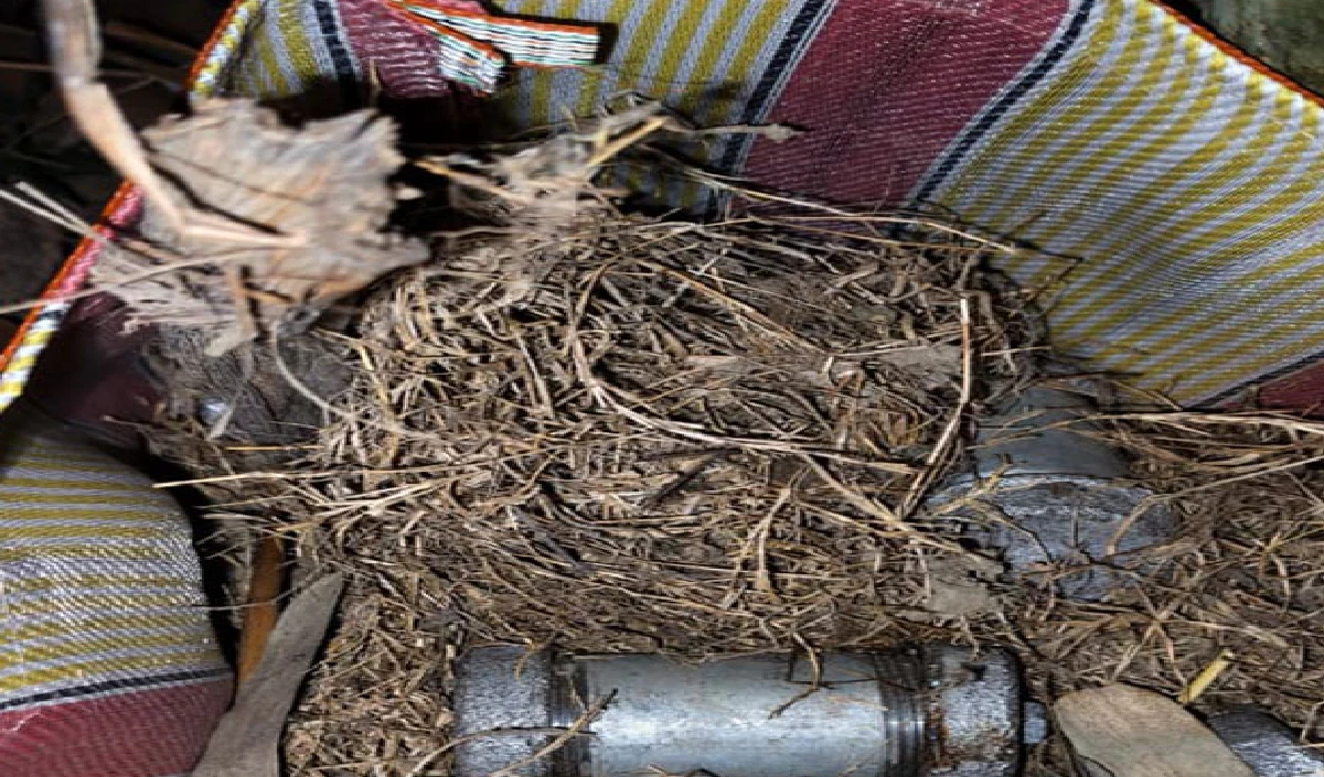 पश्चिम बंगाल के मुर्शिदाबाद में दो अलग-अलग छापों में 55 सॉकेट बम बरामद, किया गया निष्क्रिय