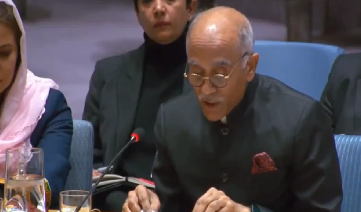 बेगुनाह नागरिकों को मारते हो...UN में तालिबान के समर्थन में खुलकर आया भारत, पाकिस्तान को बुरी तरह धो डाला