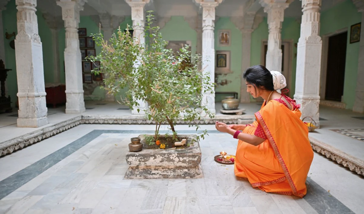 Tulsi Pujan Diwas 2025