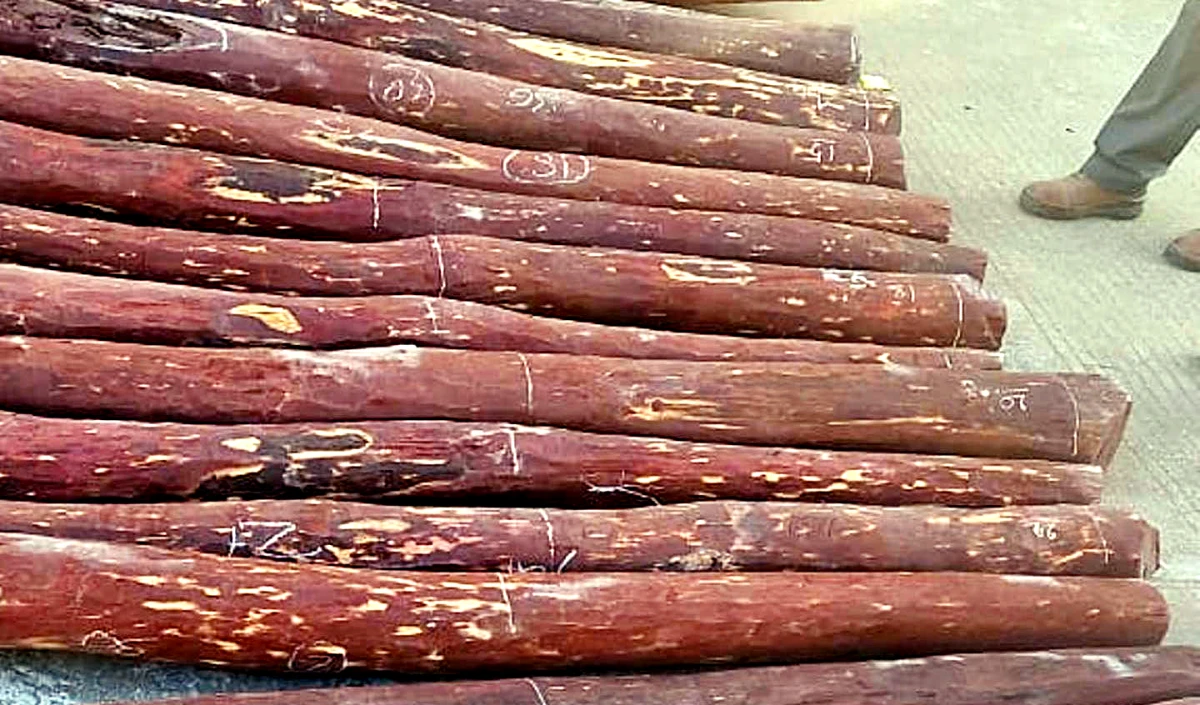 sandalwood sandalwood