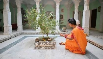 Tulsi Diwas 2025: 25 दिसंबर को है तुलसी पूजन दिवस, करें ये उपाय; प्राप्त होगा अखंड सौभाग्य