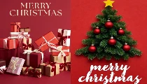 Christmas Day 2025: क्रिसमस का जुनून, 25 दिसंबर को जगमगाता भारत, ईसा मसीह के जन्म का खास संदेश