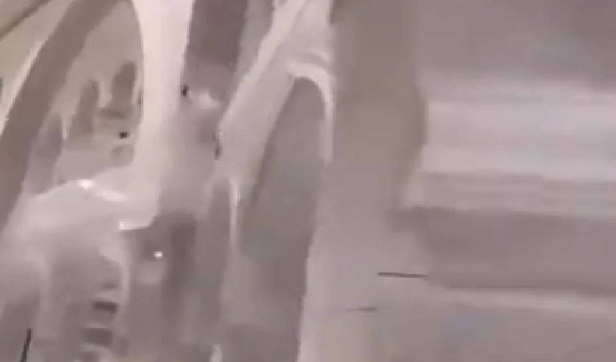 मक्का मस्जिद की छत से अचानक कूद गया शख्स! लेकिन नीचे… Video Viral