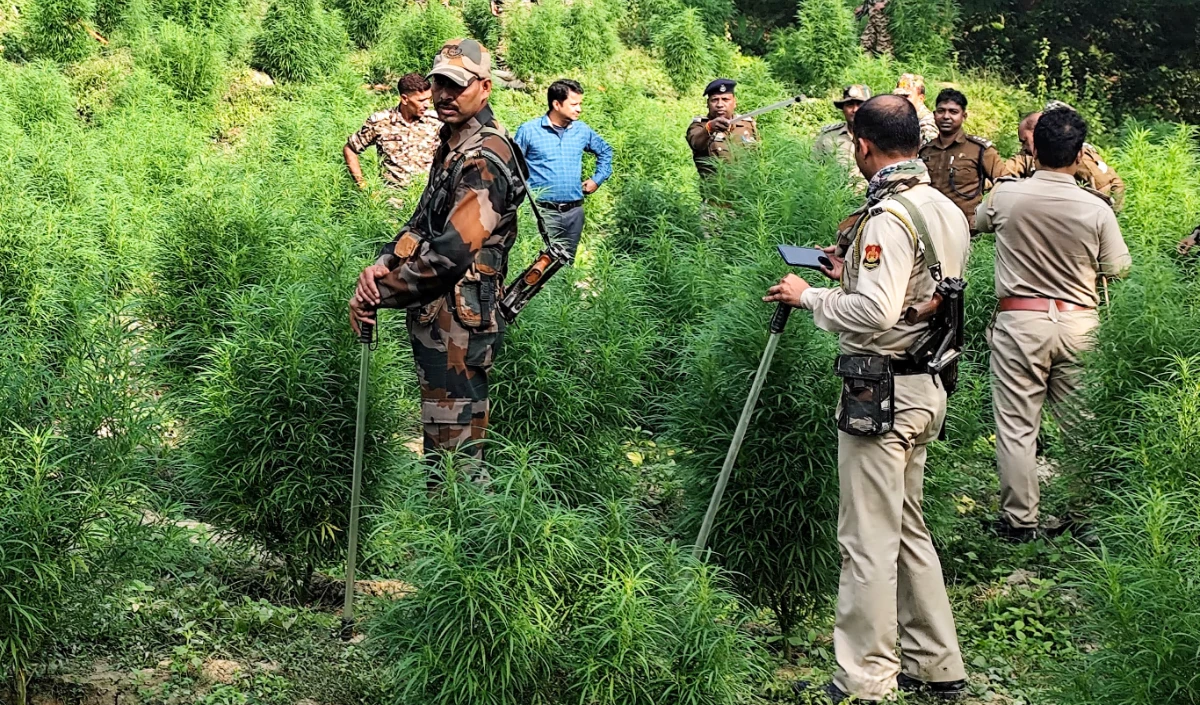 Odisha Horror Odisha Horror