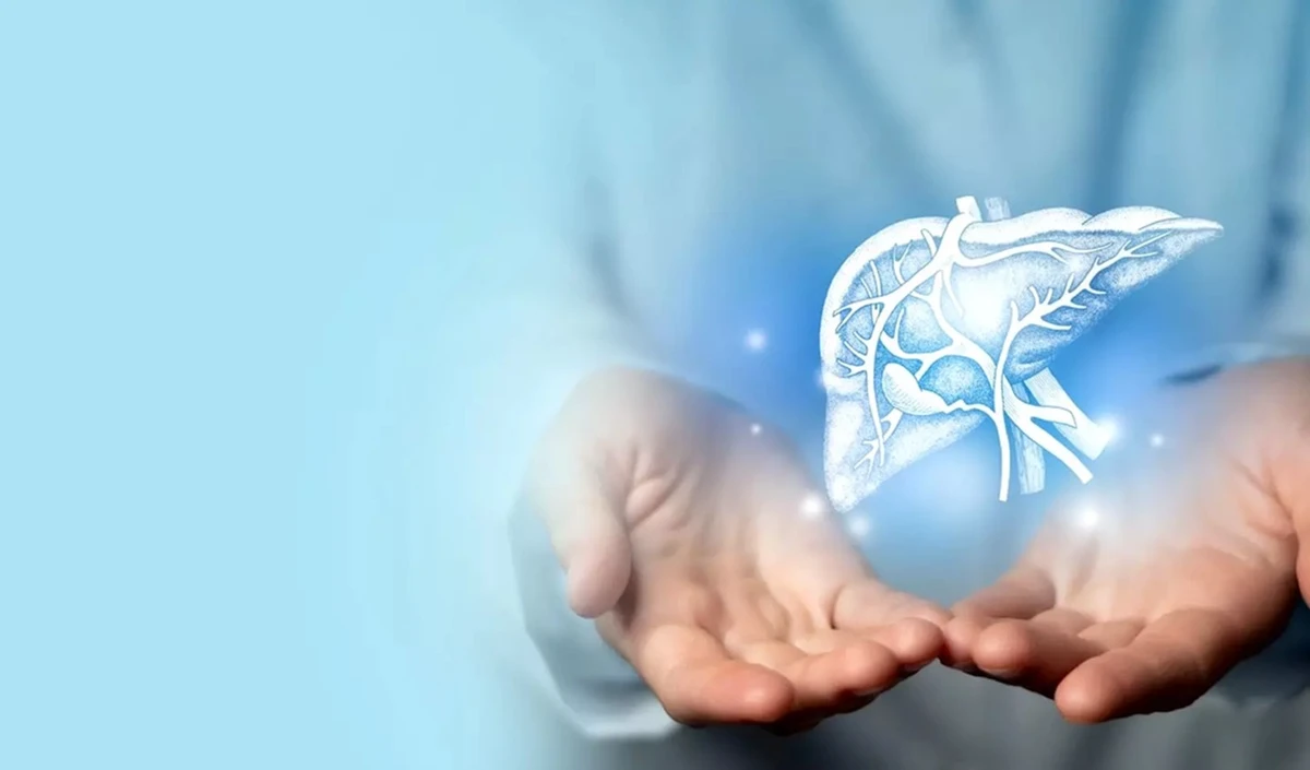 लिवर ट्रांसप्लांट: अंगदान से मिला नया जीवन, भारत कैसे बना अग्रणी देश? India Tops Liver Transplants news image