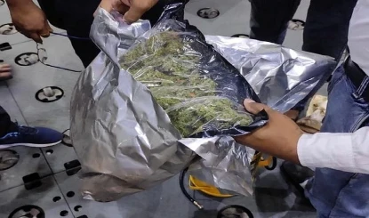 Mumbai Airport पर आठ मामलों में 25 करोड़ रुपये मूल्य का Hydroponic Marijuana जब्त