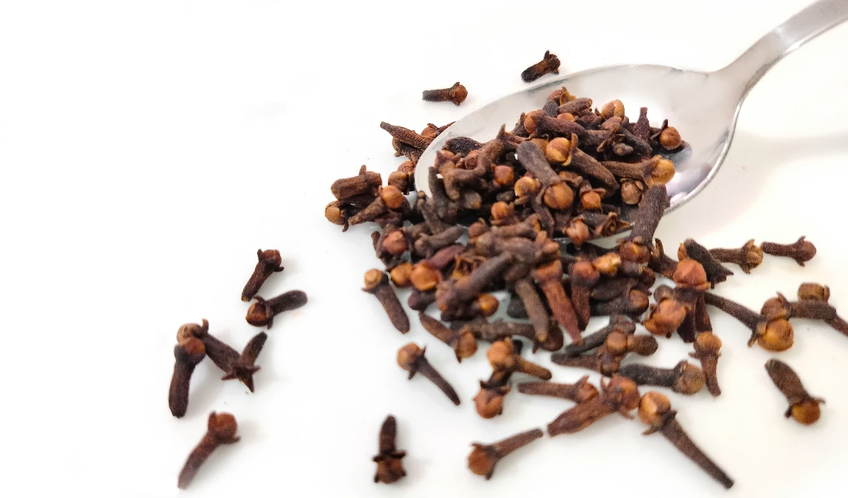 Astro Remedies Astro Remedies