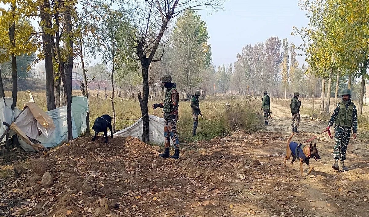 militants militants