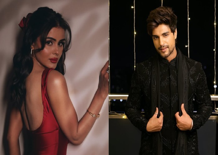 TV Industry: बिग बॉस की इस फेमस जोड़ी के रिश्ते में आई दरार, एक-दूसरे को किया अनफॉलो