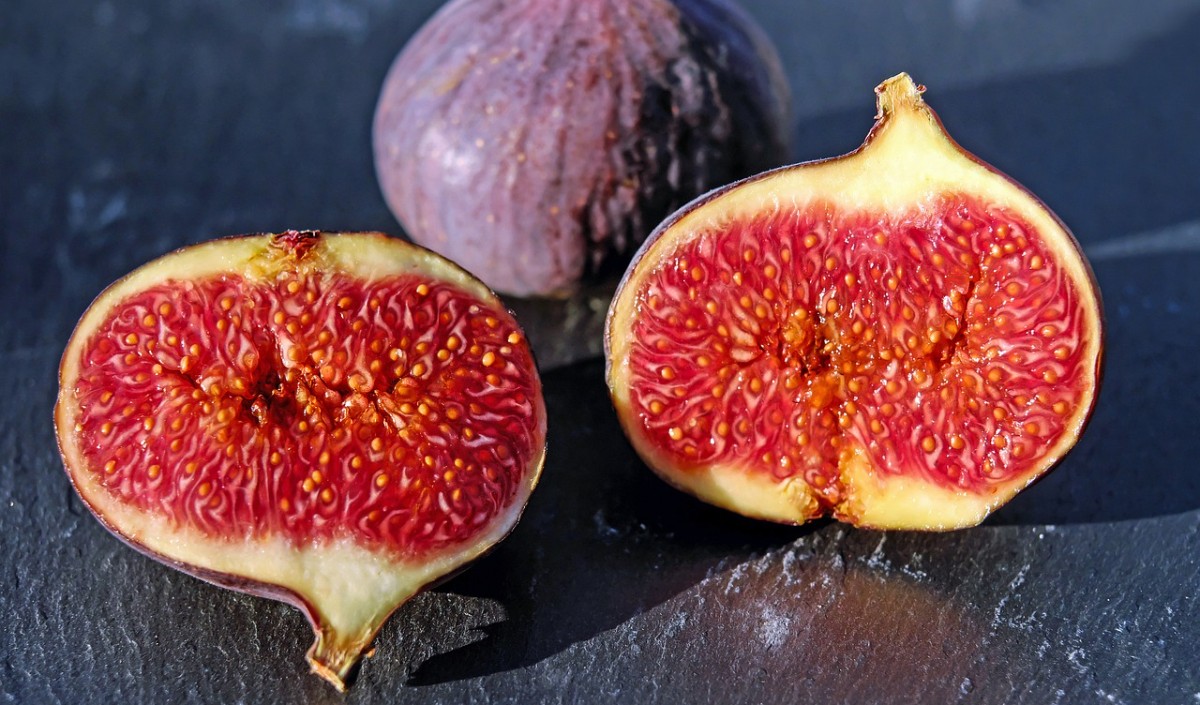 figs figs