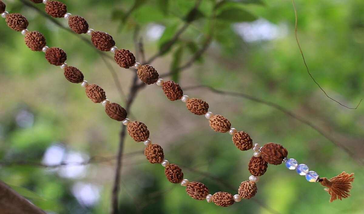 Rudraksha Niyam