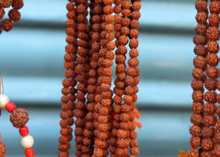 Rudraksha Niyam: इन लोगों को भूलकर भी नहीं पहनना चाहिए रुद्राक्ष, वरना हो सकता है नुकसान