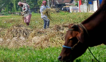 ग्रामीणों की खुशहाली के लिये मनरेगा का सशक्तिकरण हो