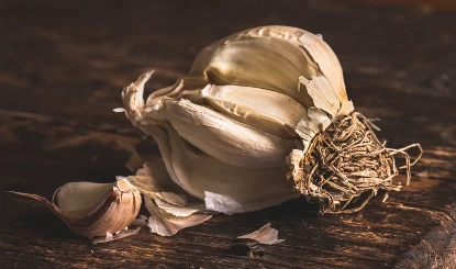 Benefits of Eating Garlic: हाई कोलेस्ट्रॉल को कंट्रोल करने के लिए रामबाण औषधि है लहसुन, मिलेंगे कई फायदे