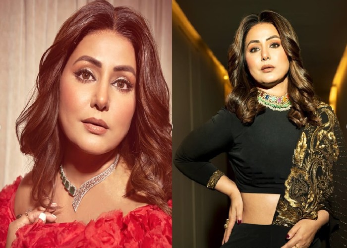 TV Industry: हिना खान ने ट्रोलर्स को दिया मुंहतोड़ जवाब, जानिए क्यों कहा, मैं हमेशा भारतीय रहूंगी