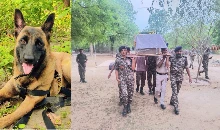 छत्तीसगढ़ में नक्सल विरोधी अभियान के दौरान खोजी कुत्ता K9 Rolo शहीद, CRPF ने किया अंतिम संस्कार 