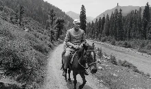 Pahalgam कैसे बना देश के पहले प्रधानमंत्री का लॉस्ट वेकेशन डेस्टिनेशन? जब इंदिरा-राजीव-संजय को लेकर कश्मीर की वादियों में पहुंचे नेहरू 
