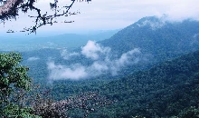Karnataka Hidden Places: कर्नाटक की यह जगह प्रकृति प्रेमियों के लिए स्वर्ग, आप भी जरूर करें एक्सप्लोर