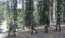 कांटे को कांटे से ही निकालना बेहतर है