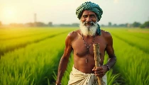 एमएसपी घोषणा सकारात्मक पहल तो चाकचोबंद खरीद व्यवस्था भी जरुरी