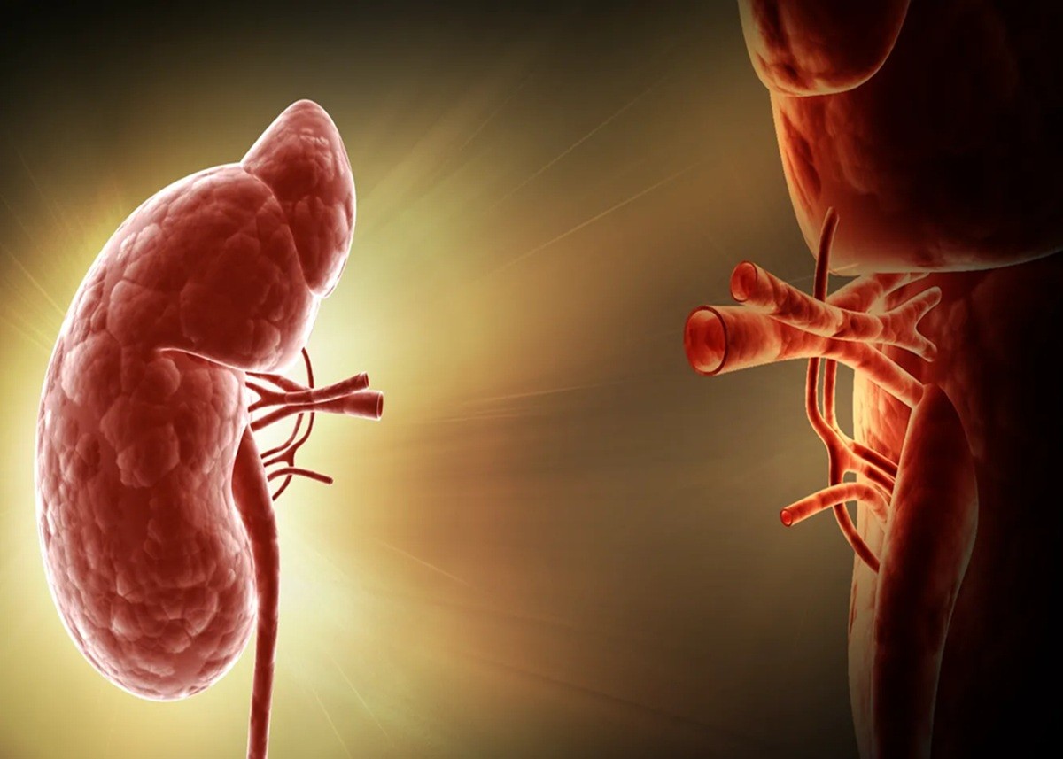 Kidney Health: हेल्दी तरीके से करें अपनी सुबह की शुरूआत, हेल्दी और डिटॉक्स रहेगी किडनी