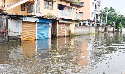 प्रशासन का तैरना बरसात में (व्यंग्य)