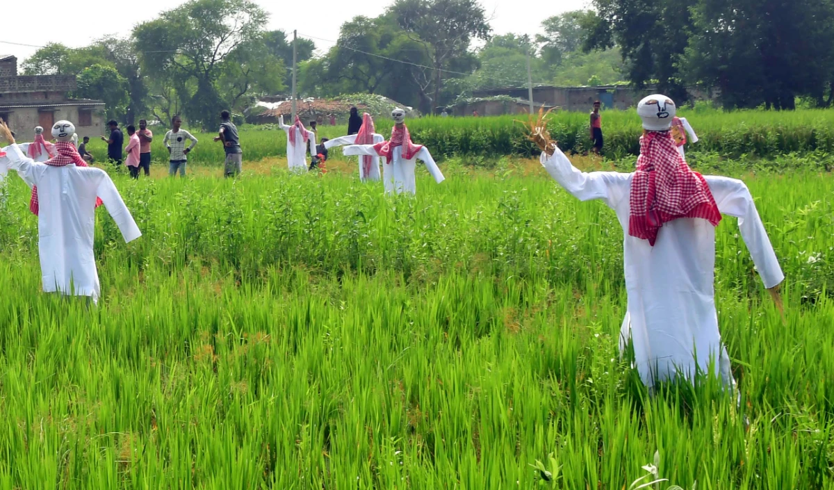 राजस्व महा–अभियान में आए रिकॉर्ड 45 लाख आवेदन, 26 सितंबर तक पूरे होंगे अपलोडिंग कार्य, विभागीय अधिकारी करेंगे जांच