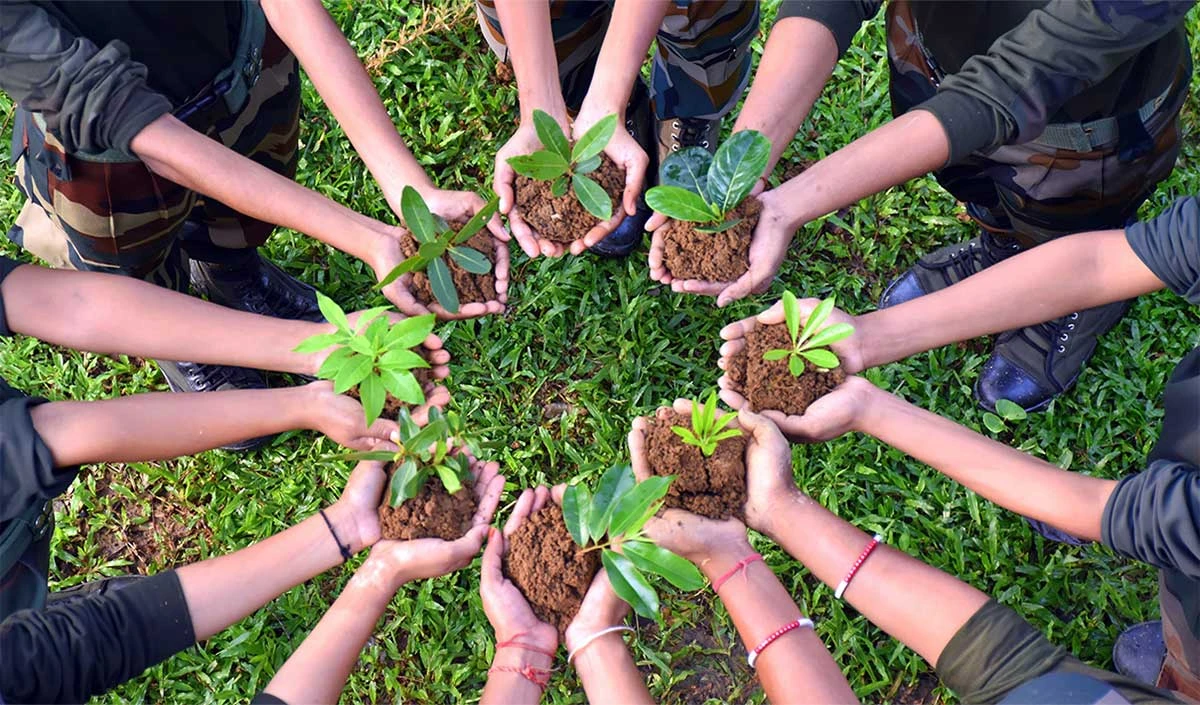 World Environmental Health Day