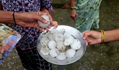 Haridwar Severe Hailstorm | हरिद्वार से देहरादून तक बिगड़े हालात, मूसलाधार बारिश और भीषण ओलावृष्टि से हाहाकार, मौसम विभाग का