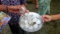 Haridwar Severe Hailstorm | हरिद्वार से देहरादून तक बिगड़े हालात, मूसलाधार बारिश और भीषण ओलावृष्टि से हाहाकार, मौसम विभाग का 'येलो अलर्ट' जारी