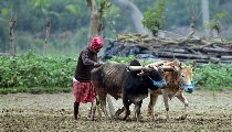 कृषक समृद्धि योजना: किसानों को 6 लाख का लोन कैसे मिलेगा, किस्त कितनी होगी, ब्याज में छूट कितनी मिलेगी? कृषक समृद्धि योजना: किसानों को 6 लाख का लोन कैसे मिलेगा, किस्त कितनी होगी, ब्याज में छूट कितनी मिलेगी?
