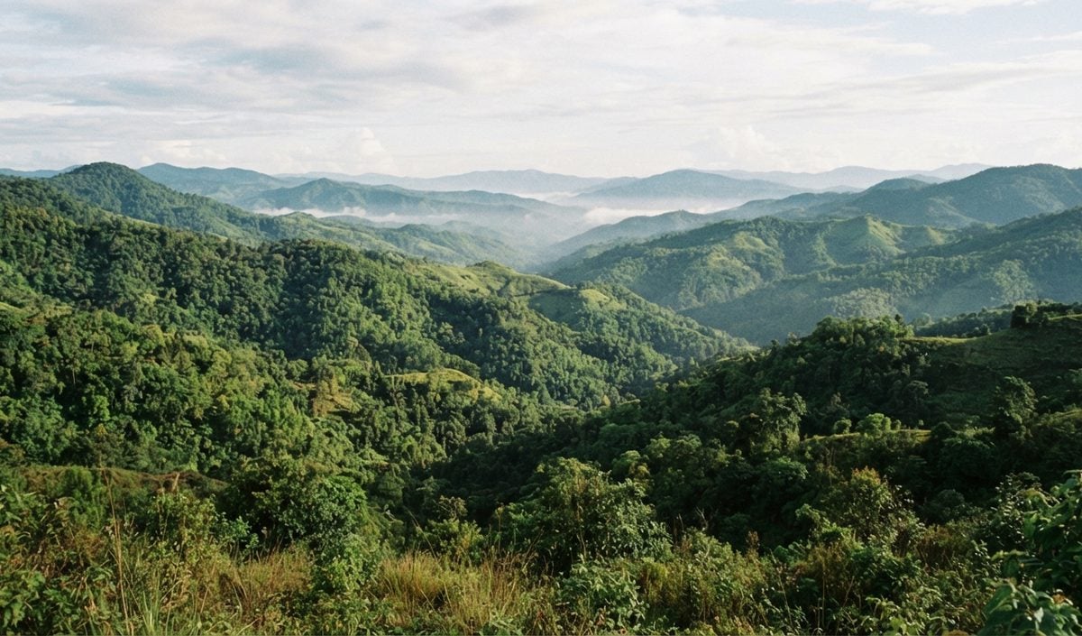 Mizoram Tourism: भूटान मॉडल अपनाएगा मिजोरम, 10 साल में जिम्मेदार पर्यटकों को जोड़ने का लक्ष्य Mizoram Tourism: भूटान मॉडल अपनाएगा मिजोरम, 10 साल में जिम्मेदार पर्यटकों को जोड़ने का लक्ष्य