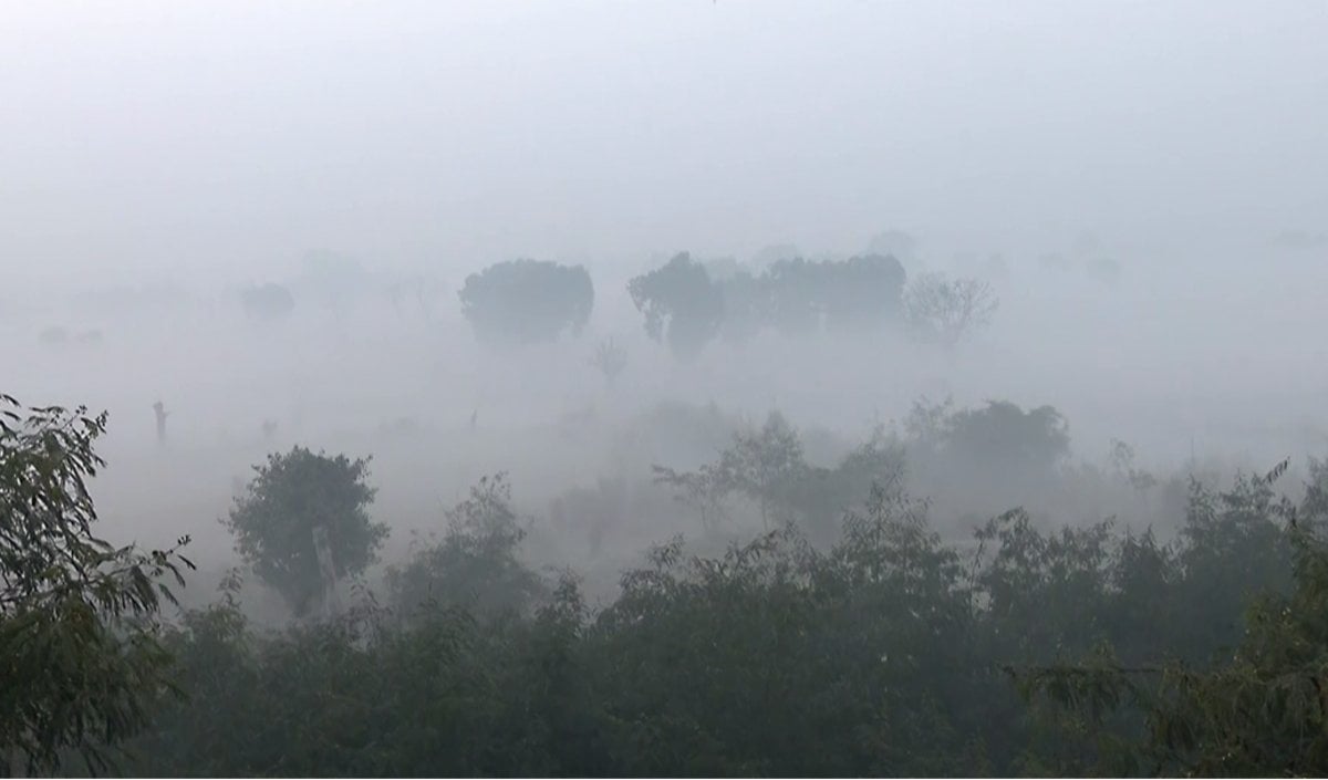 Difference Between Fog Haze And Smog Explained Difference Between Fog Haze And Smog Explained