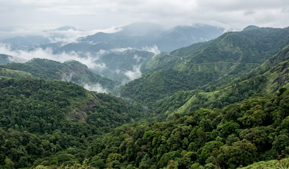 Western Ghats ESA से 8590 वर्ग किमी बाहर रखने को Kerala विधानसभा में संकल्प पारित Western Ghats ESA से 8590 वर्ग किमी बाहर रखने को Kerala विधानसभा में संकल्प पारित