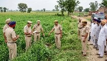 पंजाब में दिल दहला देने वाली घटना: नशे के आदी पति ने खेत में कुल्हाड़ी से काटकर की पत्नी की हत्या, खुद भी खाया ज़हर