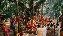 Bihar के Bihta स्थित Van Devi Mandir का रहस्य, जिसपर बनी Film The Vvan