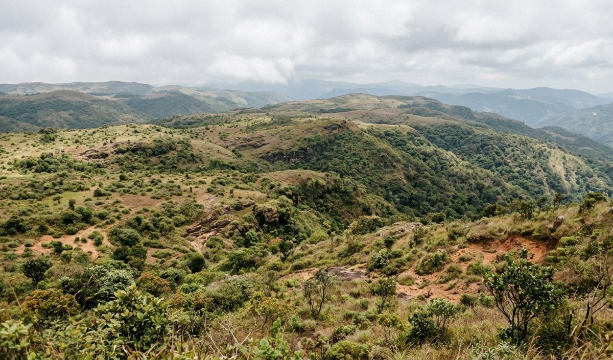 Meghalaya में GIS और सैटेलाइट से 3.4 लाख हेक्टेयर कृषि योग्य बंजर जमीन की हुई पहचान Meghalaya में GIS और सैटेलाइट से 3.4 लाख हेक्टेयर कृषि योग्य बंजर जमीन की हुई पहचान