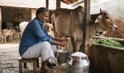 कर्नाटक में दूध 8 रुपये प्रति लीटर महंगा, 1 November से लागू होंगी नई दरें