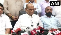SIR और MPSC आंदोलन पर बोले Sharad Pawar, ‘सरकार छात्रों से बात करे, बातचीत से निकलेगा समाधान’